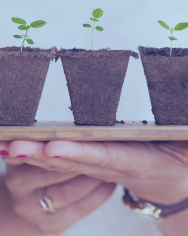 Case Pic - SaaS Growth Strategy